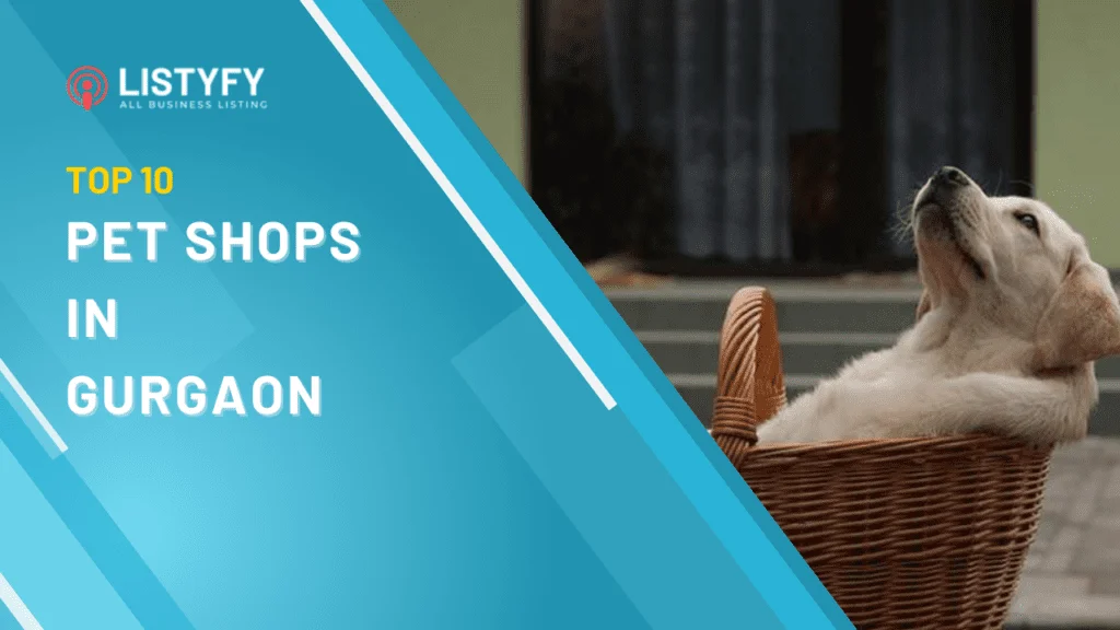 Pet shops near me